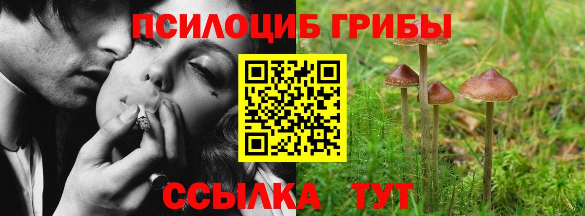 Галлюциногенные грибы Psilocybine cubensis  Псилоцибиновые грибы MAGIC MUSHROOMS  Вход с VPN  Усть-Джегута 