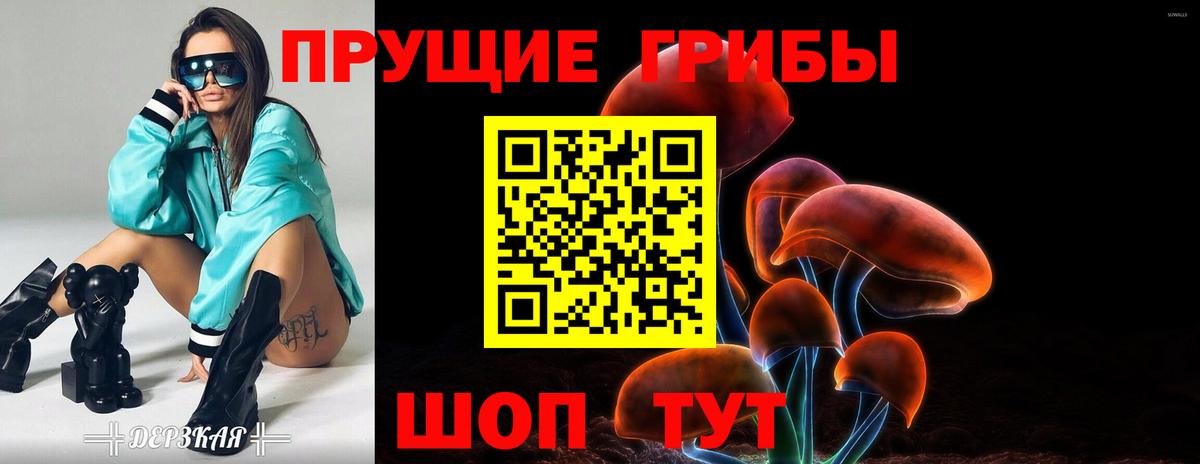 Галлюциногенные грибы Cubensis Усть-Джегута