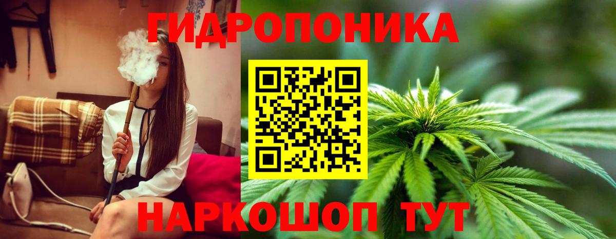 Каннабис семена Усть-Джегута